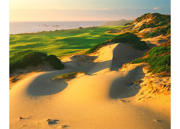 Pacific Dunes