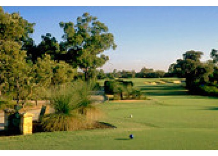 The Vines Resort